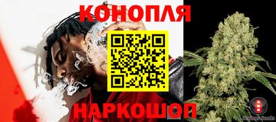 гидропоника Будённовск