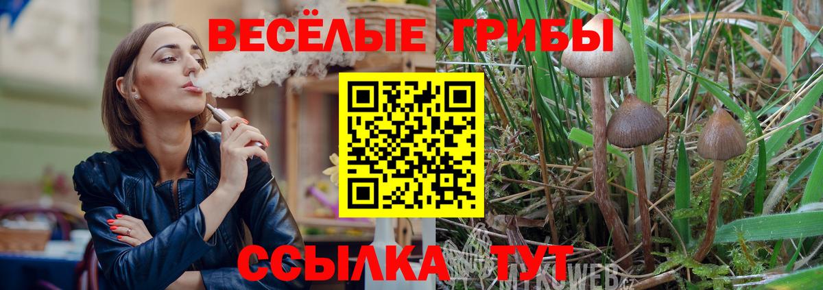 Пугачёв  Галлюциногенные грибы Psilocybine cubensis  Вход с VPN  Галлюциногенные грибы GOLDEN TEACHER 